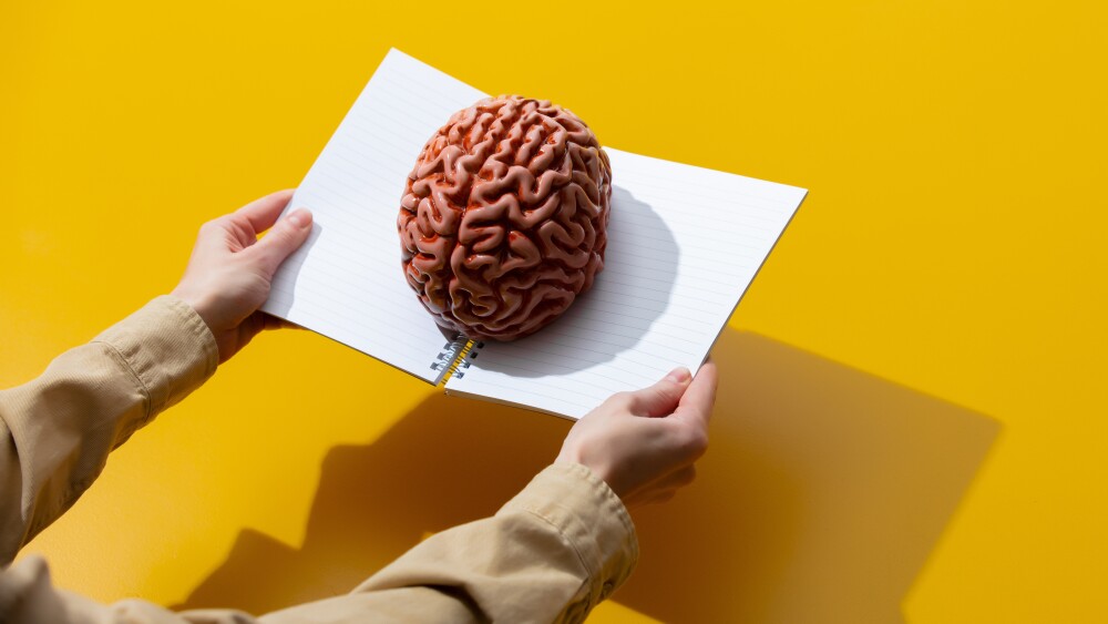 Female hand holds notebook with brain on yellow background