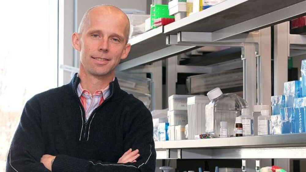 Wendy Maeda/The Boston Globe via Getty Images