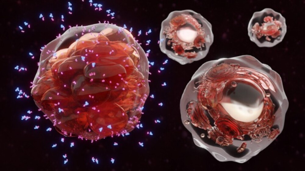 Pictured: Cancer cell surrounded by cytokines/iSto