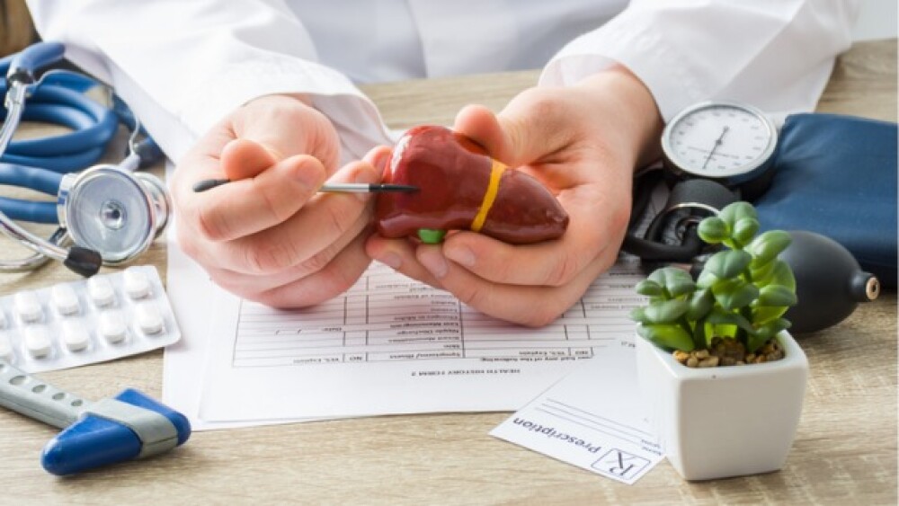 Pictured: Physician shows shape of liver/iStock, S