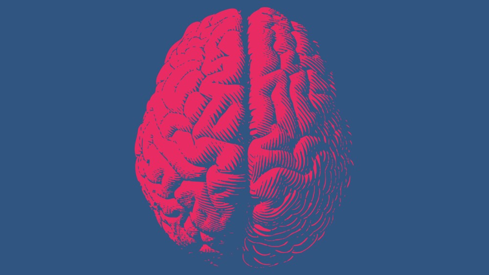 Red engraving brain illustration in top view isolated on blue background