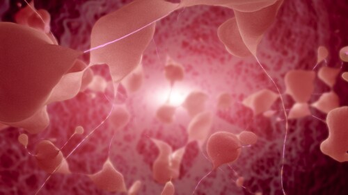 Neurons sending pulsating electric impulses and communicating with each other. Concept For Neurological Diseases, Tumors And Brain Surgery