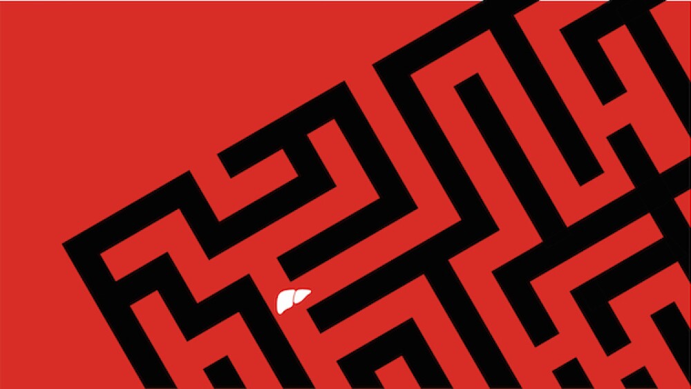 A maze representing the complexity of NASH /Nicole
