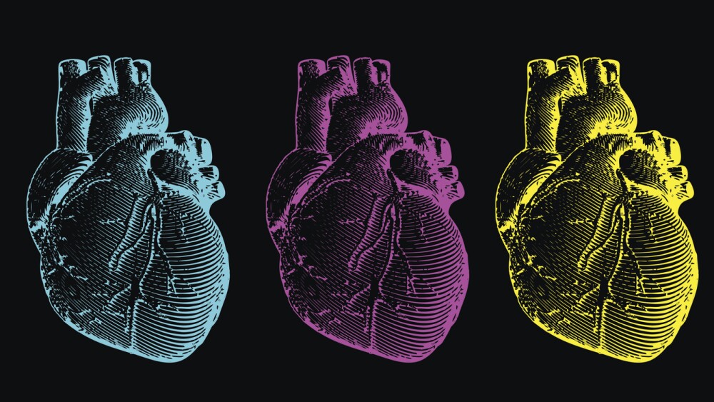 Engraving human heart illustration set isolated on black background with CMYK color