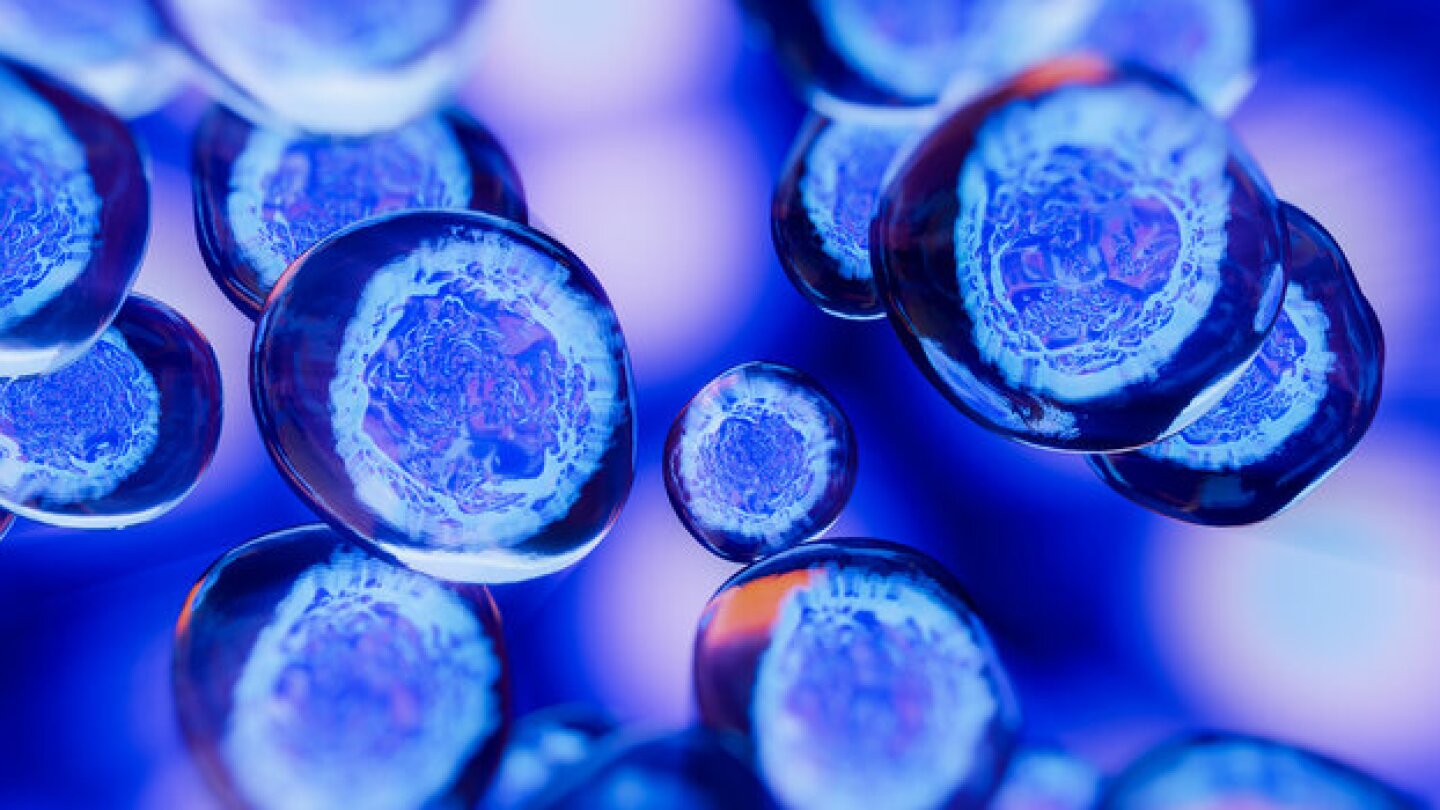 Pictured: 3D illustration of stem cells used for cell therapy