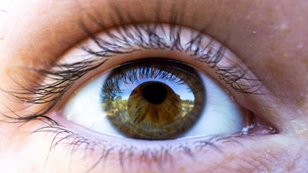 AbbVie recently returned the rights of eye drug Ab