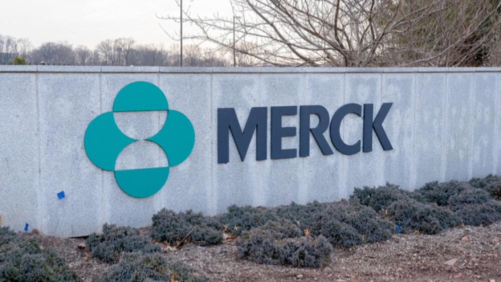 JHVEPhoto/Shutterstock