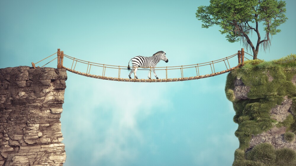 The zebra walks on a bridge between two rocks. Risk taking and destination concept. This is a 3d render illustration