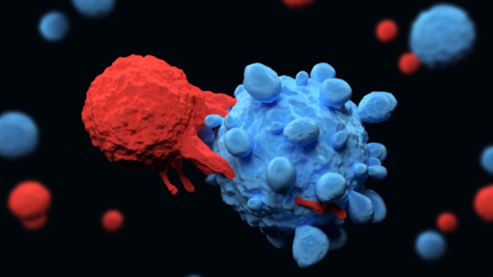 3D illustration of a T cell killing a cancer cell
