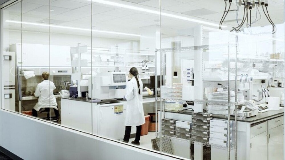 Pictured: A lab at Sana Biotechnology/Courtesy of