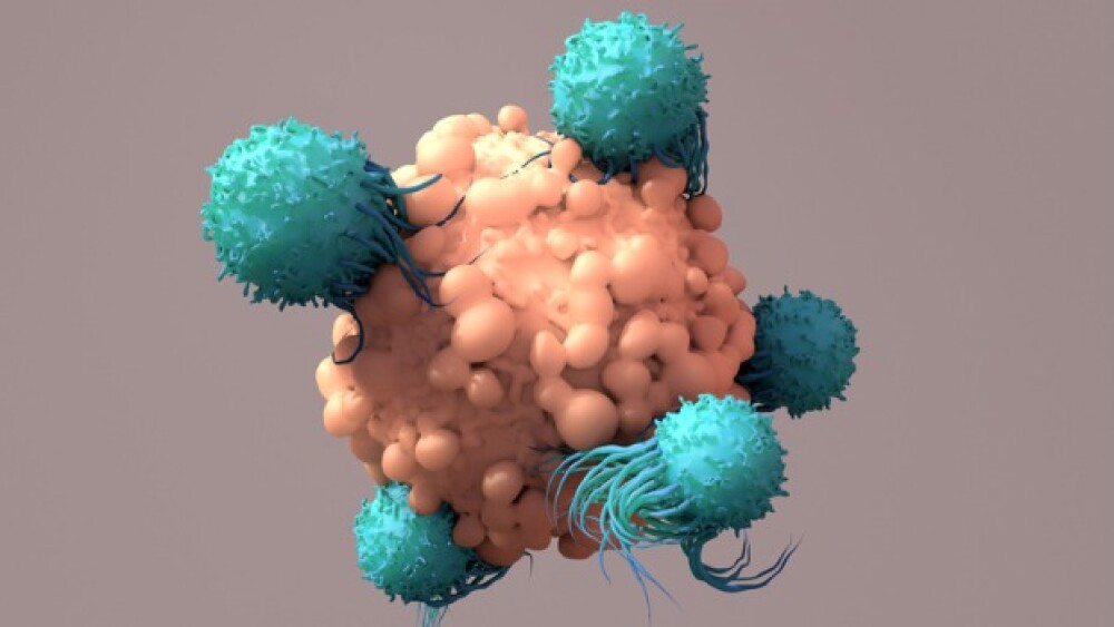 Pictured: T cells attacking cancer/ iStock, Design