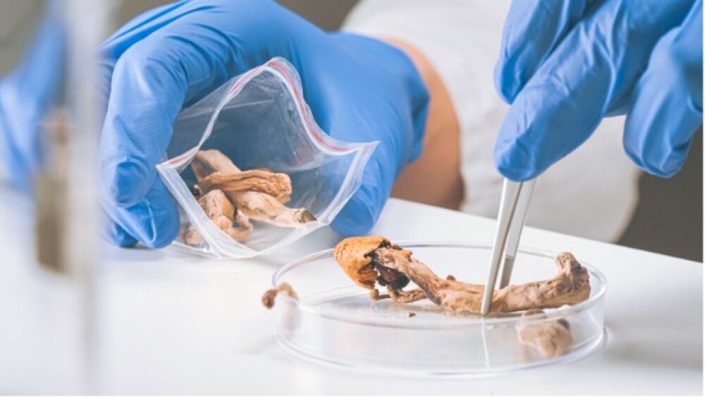Pictured: Psilocybin science and research/iStock,