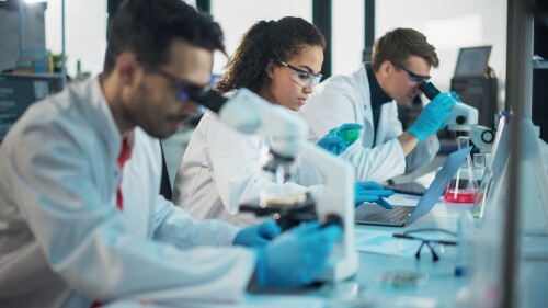 Image showing college students in lab looking through microscopes