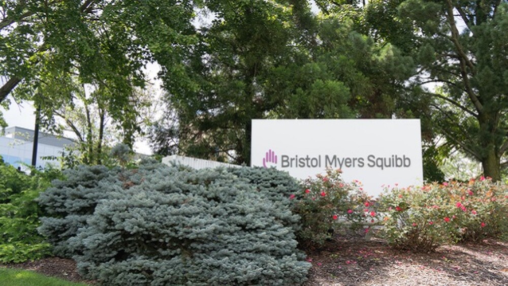 Pictured: A Bristol Myers Squibb among some bushes