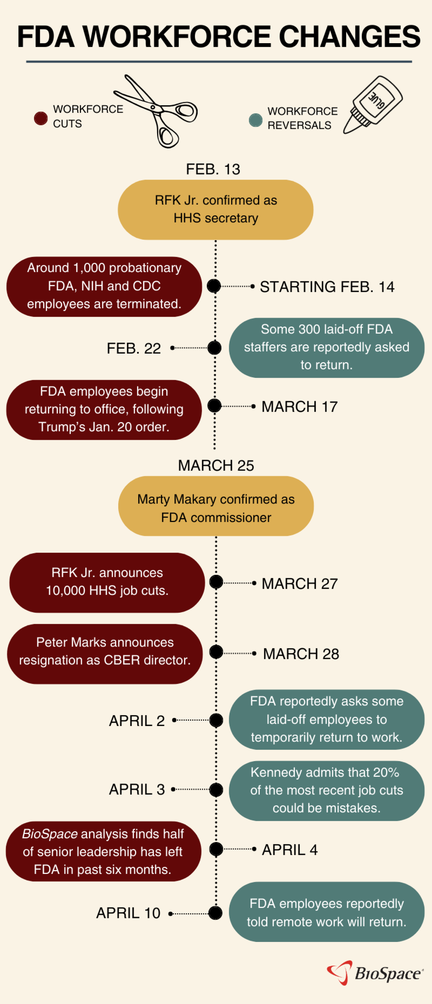 Timeline graphic of HHS workforce cuts