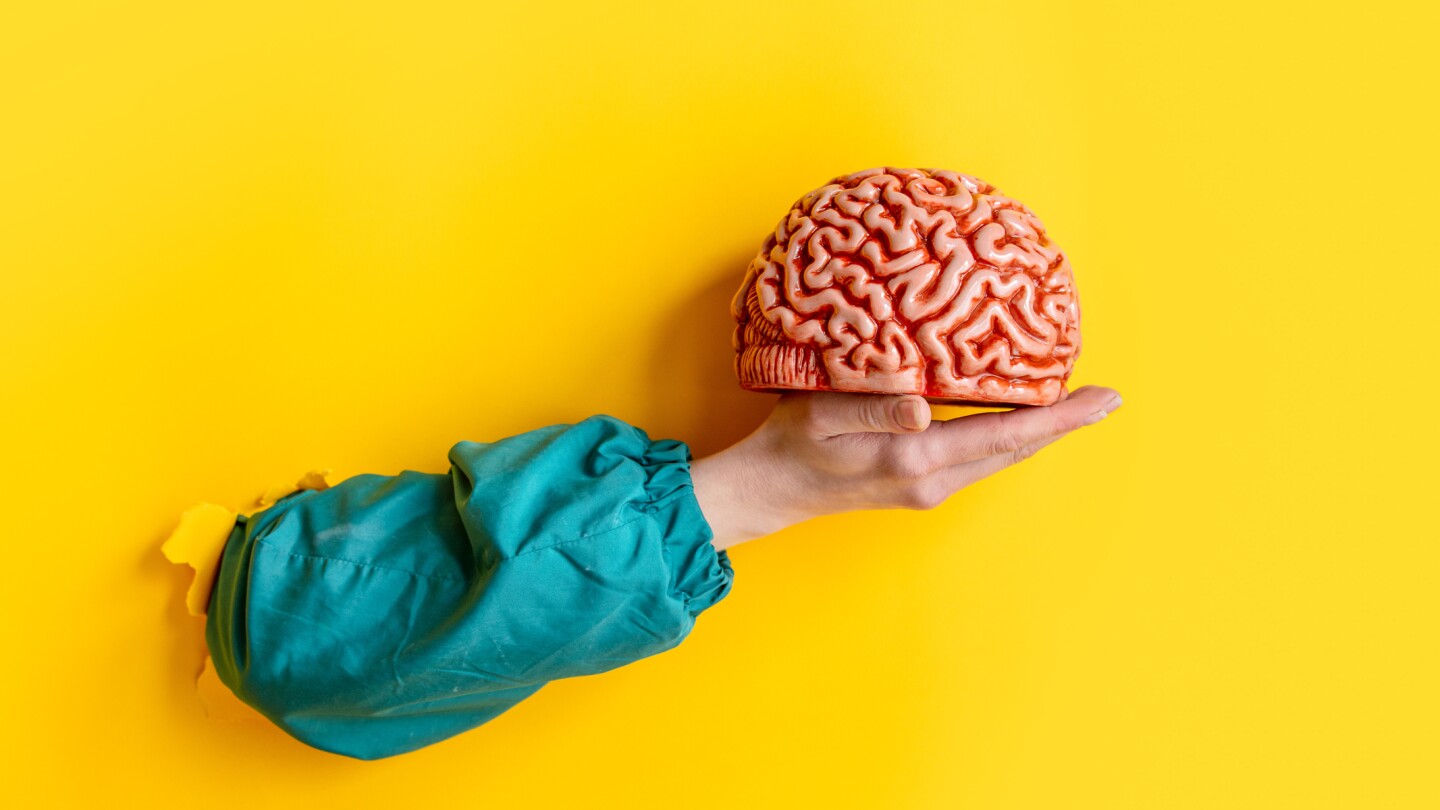 female hand hold human brain on yellow background.