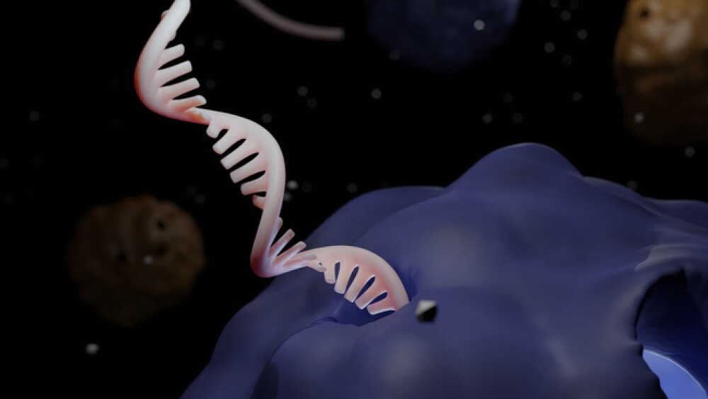 mRNA leaves the nucleus, it moves to a ribosome 3d rendering