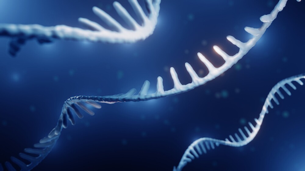 an RNA Molecule