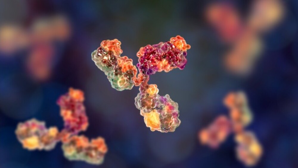 Pictured: Illustration of an antibody molecule/iSt