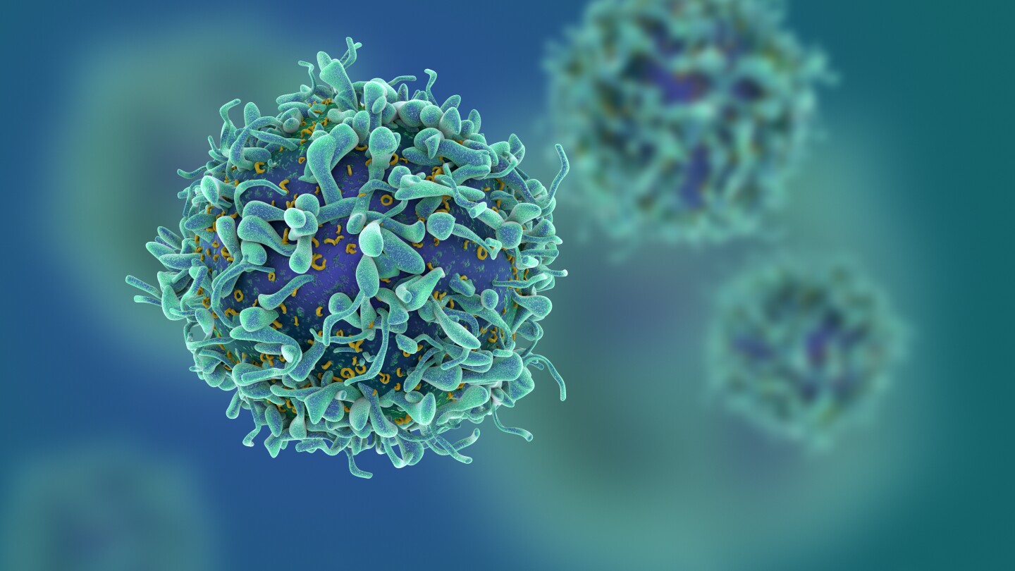 3D rendering of a T-cell