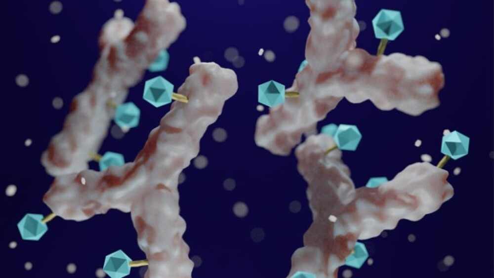 Pictured: 3D illustration of antibody-drug conjugates with their toxic payloads