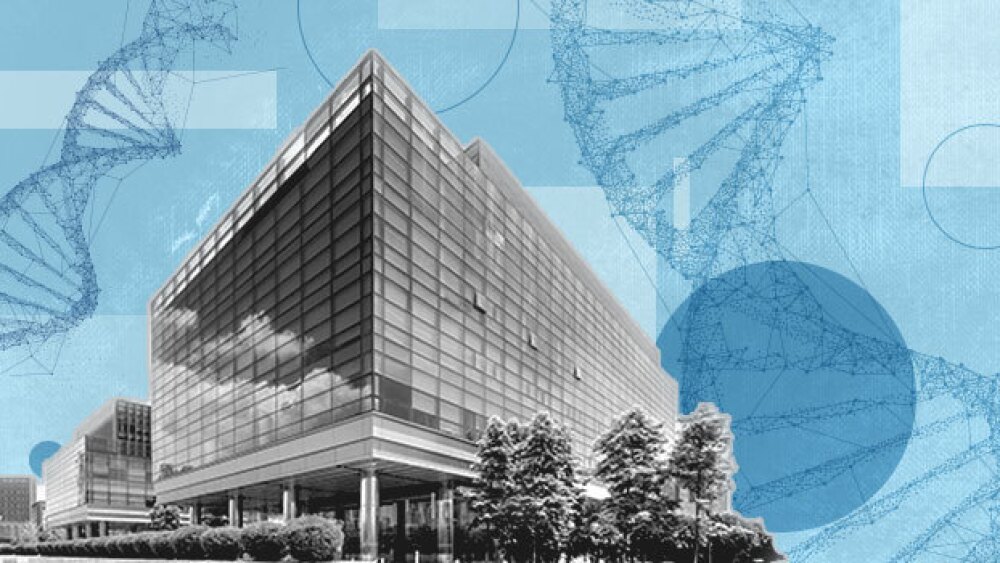 Pictured: Office building science collage