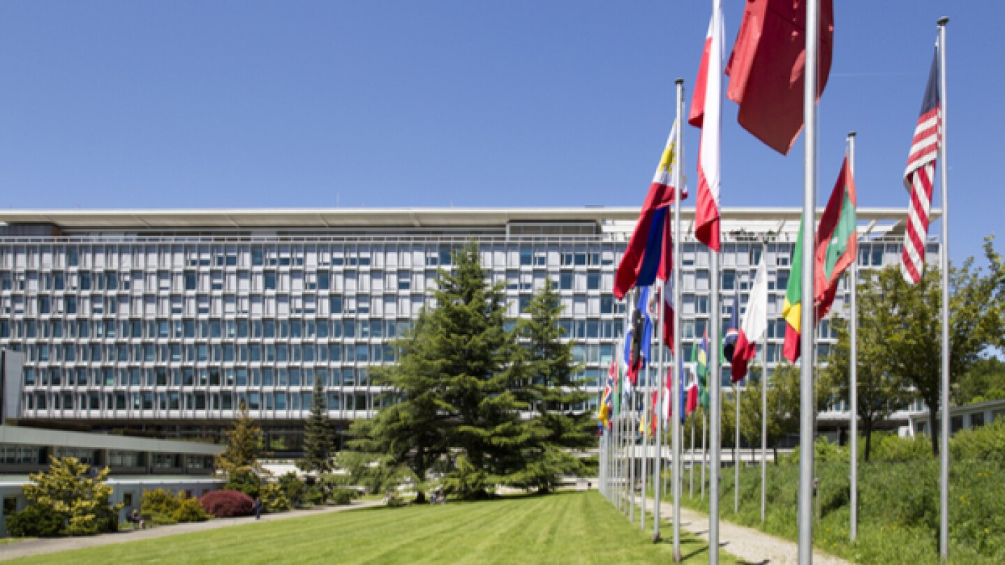 Martin Good / Shutterstock