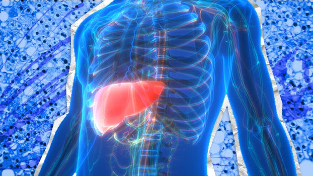 Pictured: Human torso highlighting the liver with a liver cell background/Taylor Tieden for BioSpace