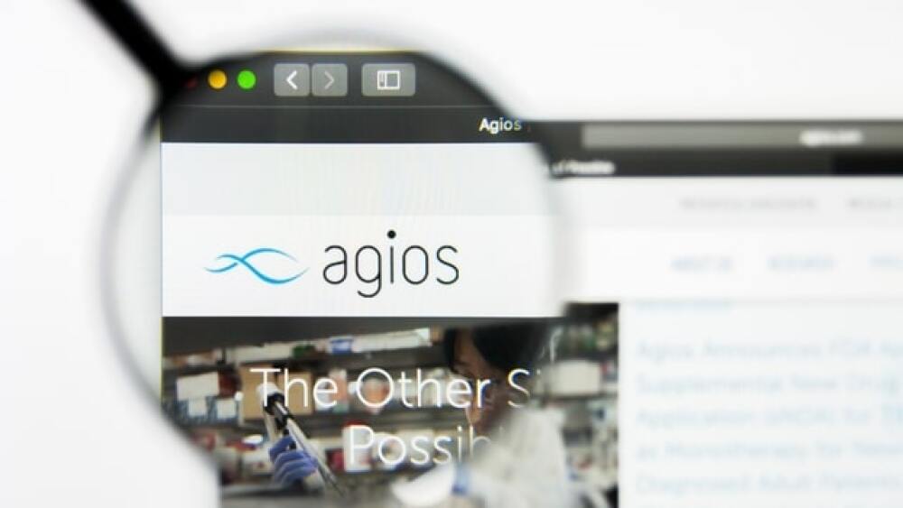 Pavel Kapysh/Shutterstock