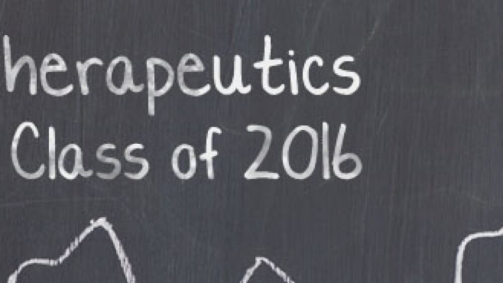 What You Need to Know About Aeglea