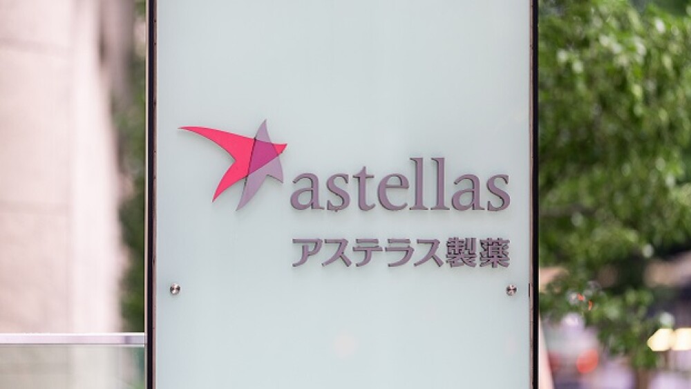 Pictured: Astellas sign with logo/yu_photo/Adobe S