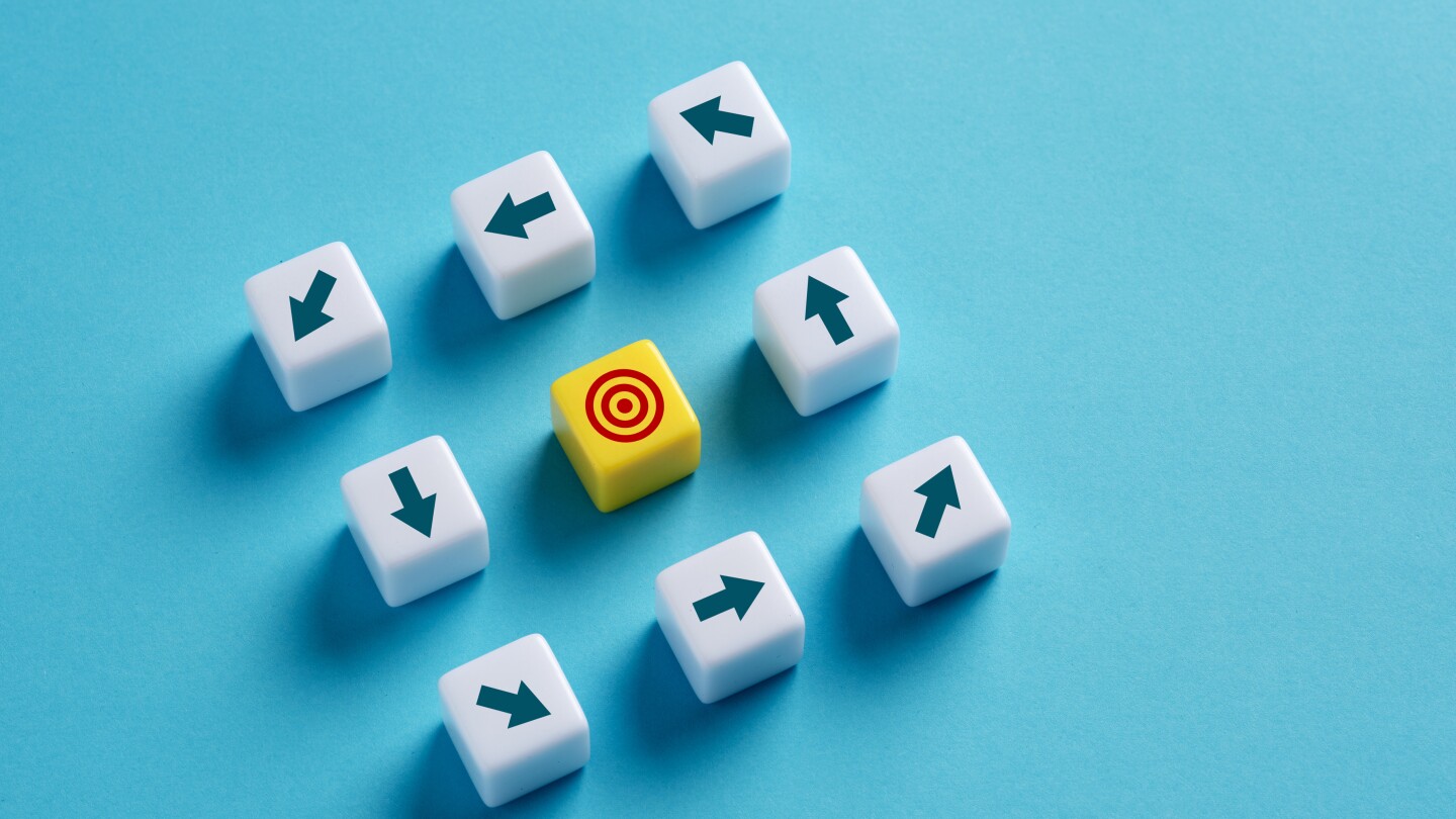 Goal disorientation and lack of vision. Inability to set the right business objectives. Failure to achieve the objectives. Missing the unrealistic and inaccurate company goals.