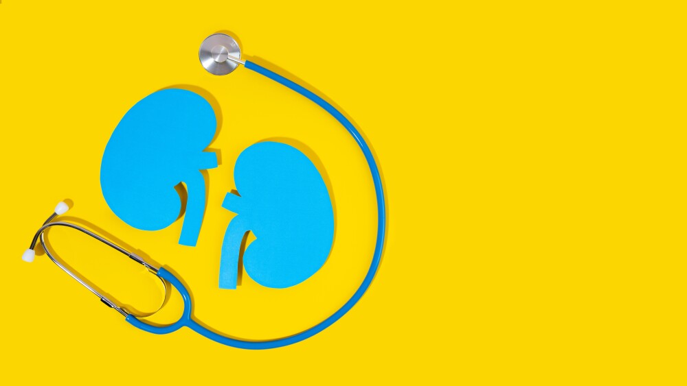 Concept World kidney day, handcraft paper blue kidneys and stethoscope on yellow background. Copy space. Banner.