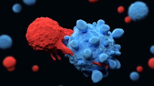 3D illustration of a T cell killing a cancer cell