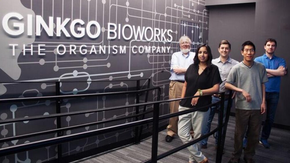 Boston’s Ginkgo Bioworks Brews Up Jobs and Beer