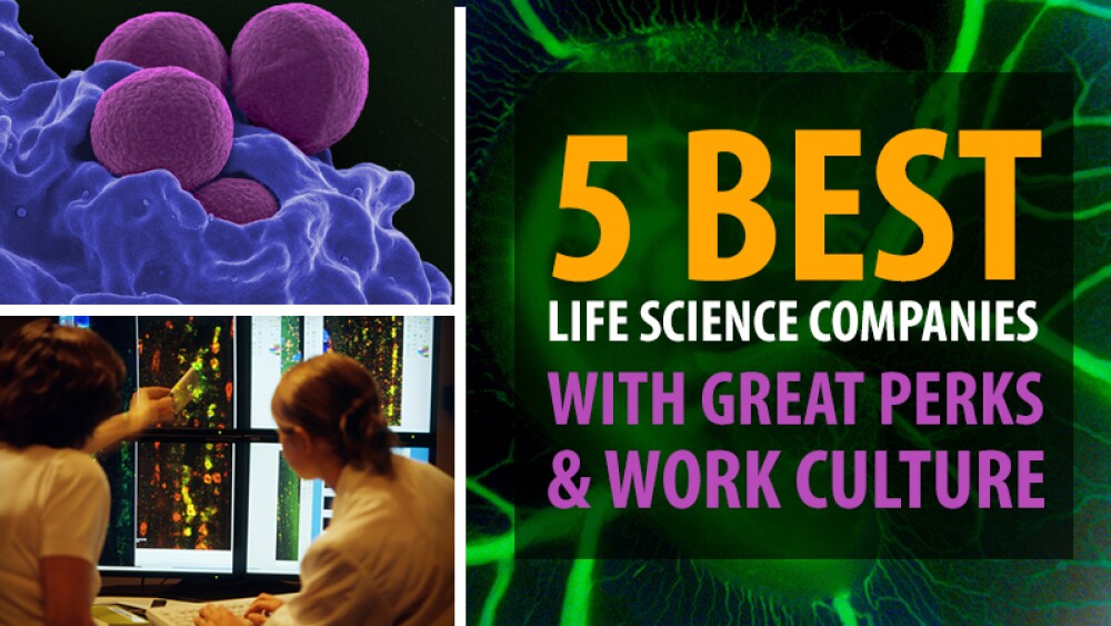 The Five Best Life Science Companies with Great Perks and Work Culture