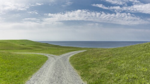 Pictured: A fork in a dirt road/iStock, by-studio