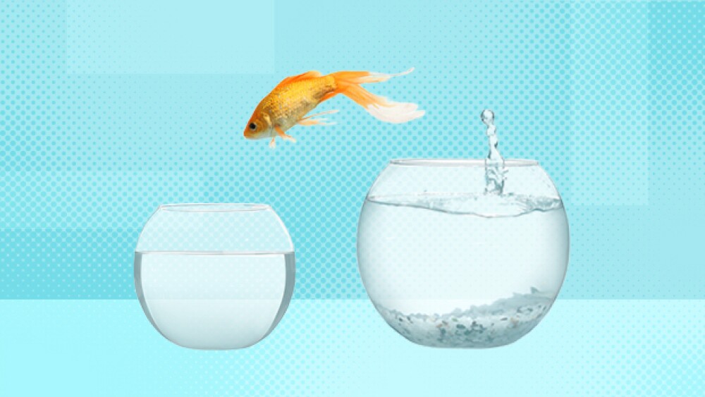 Goldfish jumps from big bowl to small bowl