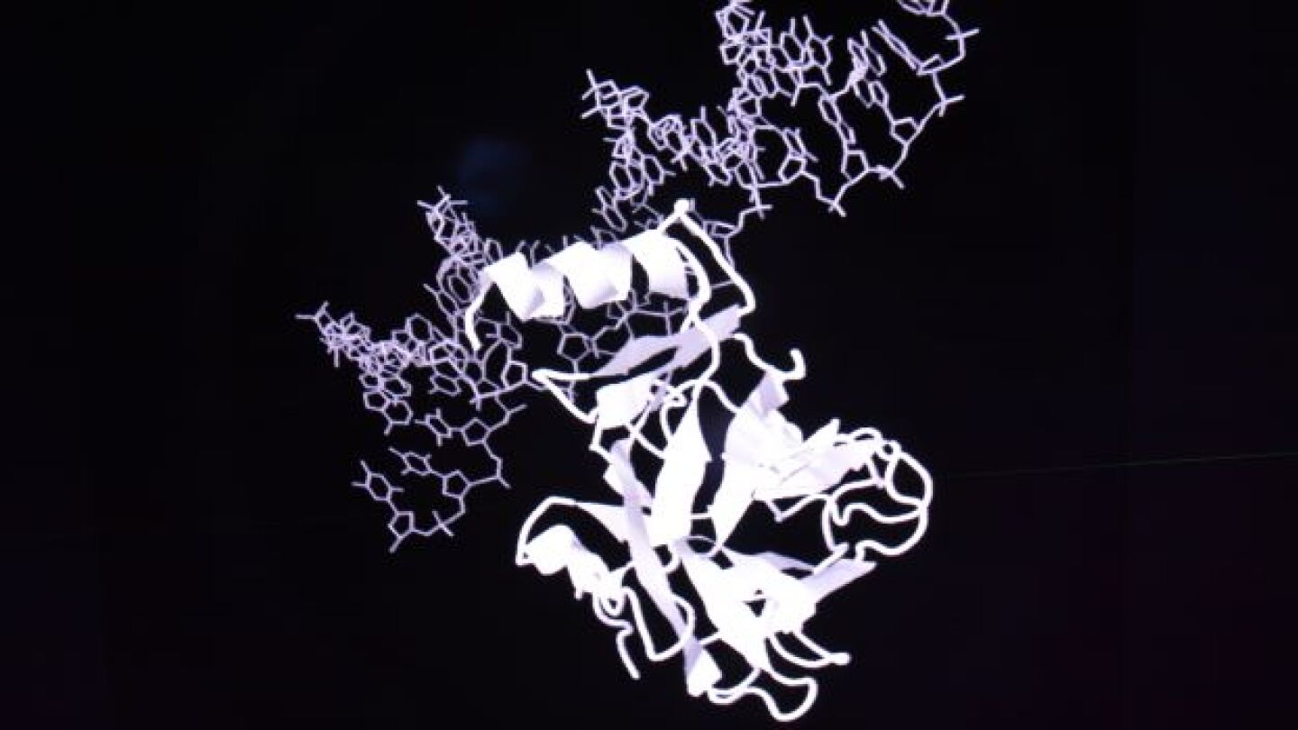 A DNA strand and a protein/Getty