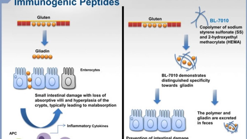 BIOCEO15: BioLine CEO Touts New Celiac Drug, Fleshes Out Novartis AG Partnership Terms