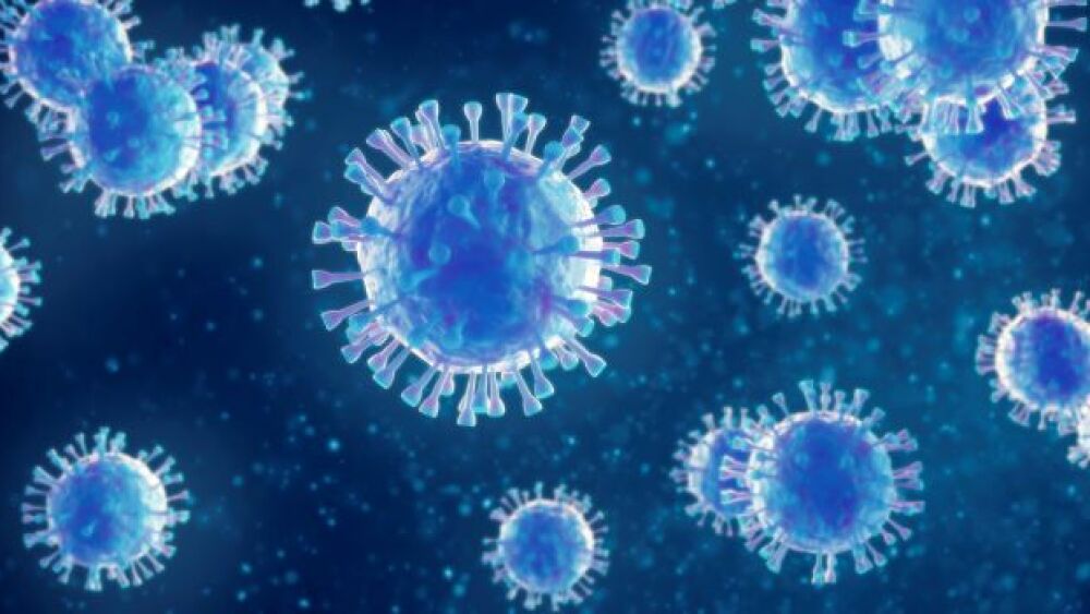 Can H10N3 Avian Flu strain become the next new pan