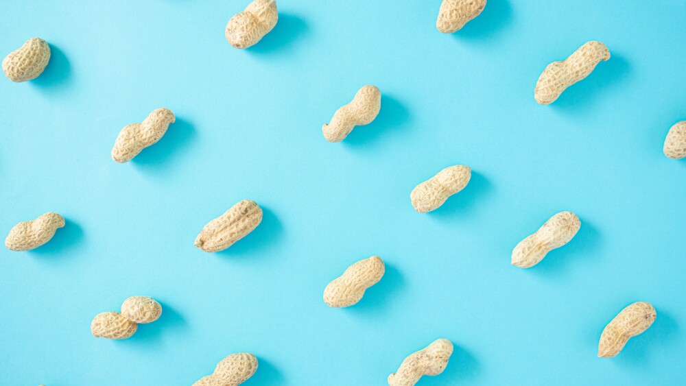 Beautiful colorful unpeeled peanut pattern on a light blue background. Flat lay arrangement, top view.