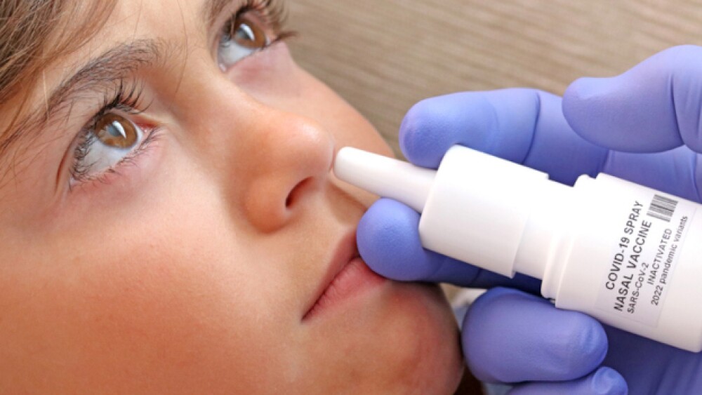 Pictured: A nasal vaccine being administered to a