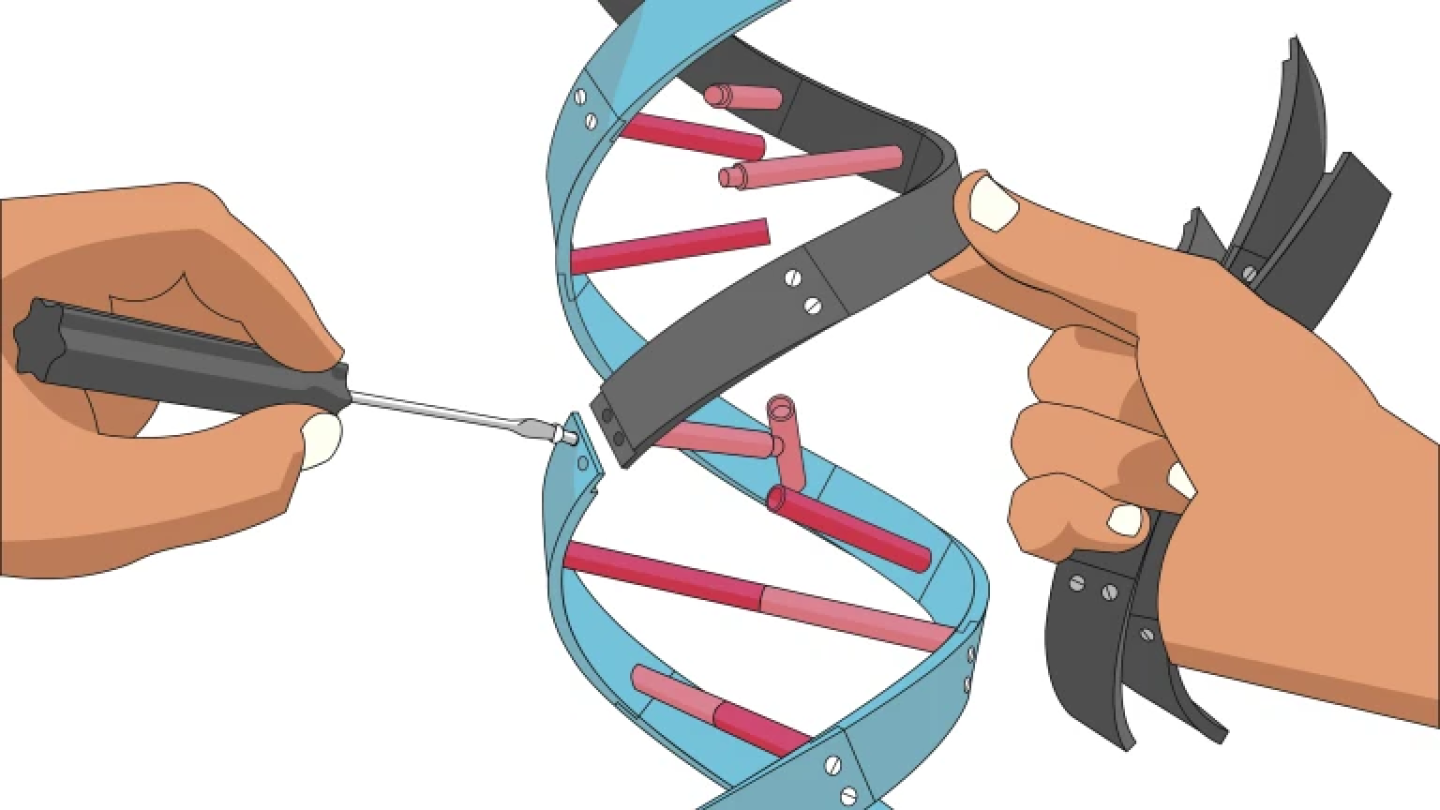 Substitution of DNA with bare hands and an ordinary screwdriver.