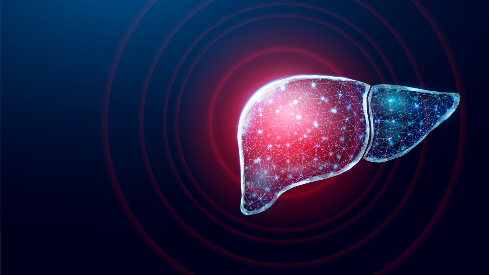 Human liver protection. Wireframe low poly style. Concept for medical, pharmacology, treatment of the hepatitis. Abstract modern 3d vector illustration on dark blue background.