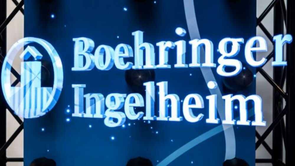 Andreas Arnold/picture alliance via Getty Images