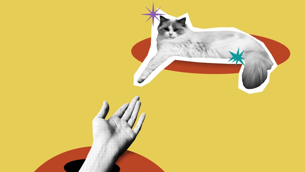 Collage art of a hand touching a cat. Modern and creative design with surreal style. Perfect for use in posters, editorial design, social media, digital art, and contemporary art projects
