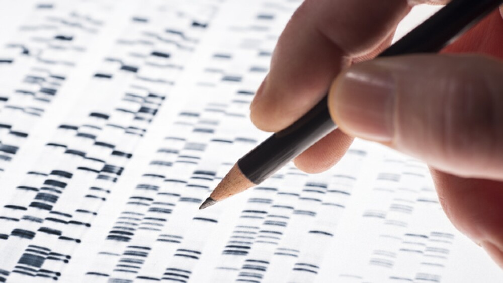 Pictured: Evaluation of DNA gel/iStock, gopixa