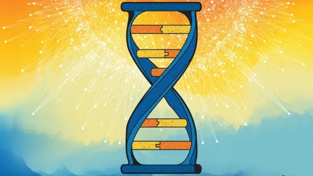 Pictured: An hourglass connected by strands of DNA