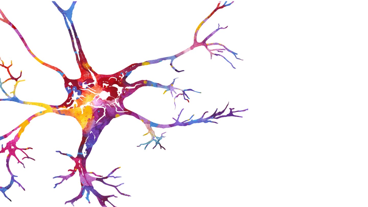 Neuron colorful watercolor vector illustration